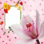 бисероплетение цветы из бисера орхидея - Профессиональное бисероплетение.